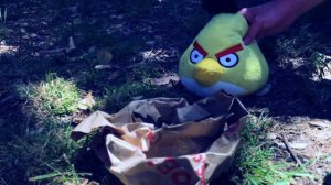 Angry Birds Toons (Plush Version) - Season 1: Ep 25 - "The Bird That Cried Pig""