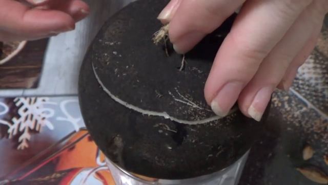 Аниме-Ревью и Обзоры