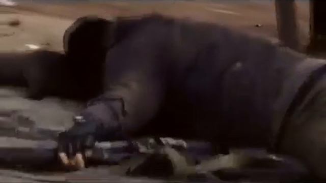 Всем смертям назло (2017)