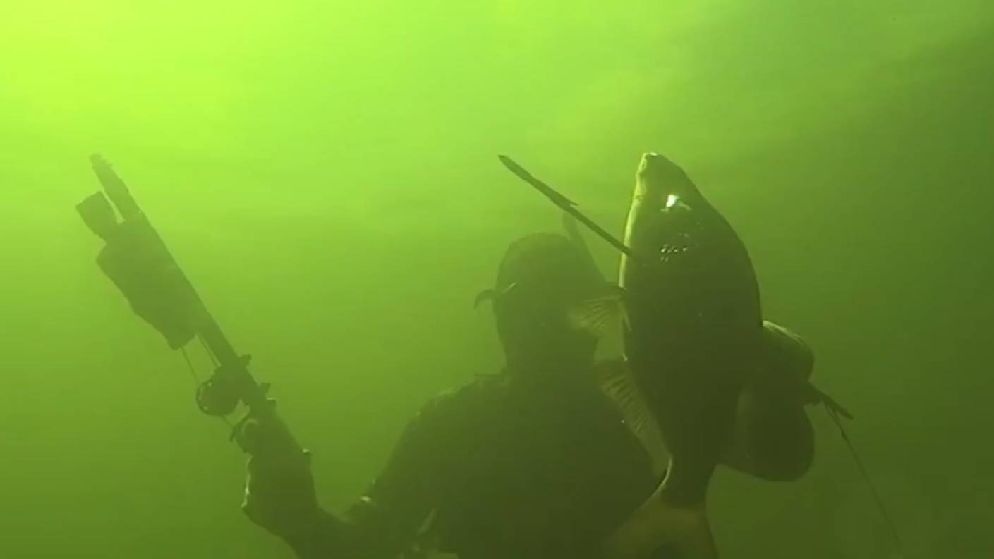 Подводная охота - 3 дня на реке смотреть онлайн