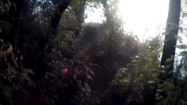 Рыбалка на закидушки. Поймал огромную щуку и судака!