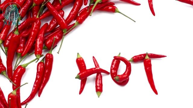 ОСТРАЯ ПИЩА ПРОДЛЕВАЕТ ЖИЗНЬ, доказали китайские ученые смотреть онлайн