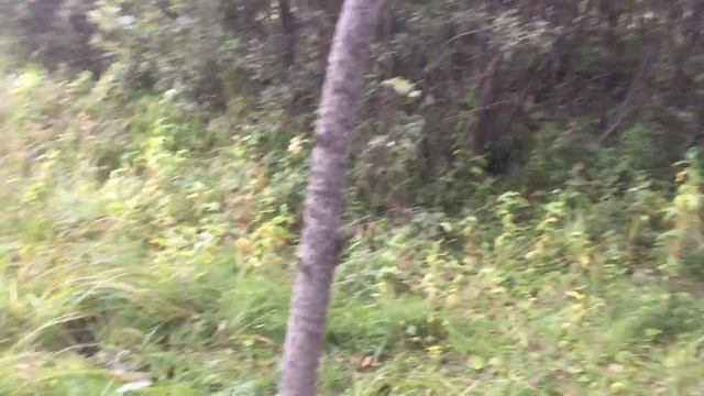 Коптим рыбу в коптильне смотреть онлайн