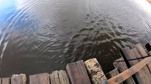 Рыбалка На Кастинговую Сеть Сибирский Мост В Секретном Месте