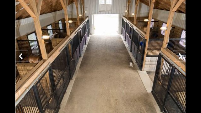 Денники для лошади. Обзор примера смотреть онлайн