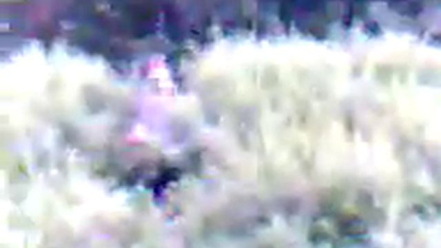 jackass смотреть онлайн