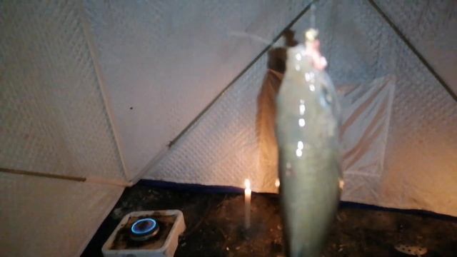 Рыбалка в ночь на карася,озеро Малое 2020 смотреть онлайн