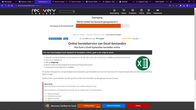 Recovery Toolbox for Excel - Hoe het werkt Online смотреть онлайн
