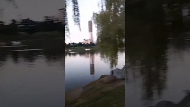 Первый выход к морю и небольшая прогулка по дороге домой. смотреть онлайн