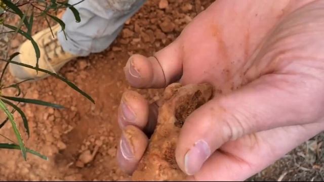 MASSIVE 5oz GOLD NUGGET - METAL DETECTING W/ MINELAB GPZ 7000 смотреть онлайн
