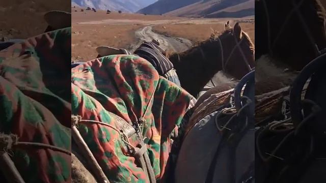 Кыргызстан, Ошская область, Чон-Алайский район. Ущелье Кошкайын. смотреть онлайн