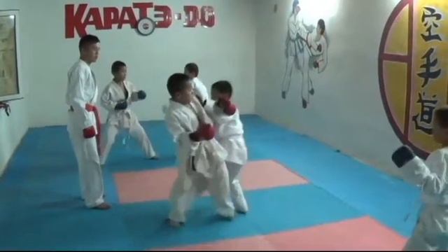 Серік Молдабеков каратэ-до смотреть онлайн