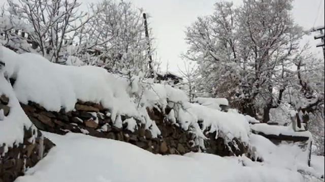 Adı Yok Hala смотреть онлайн