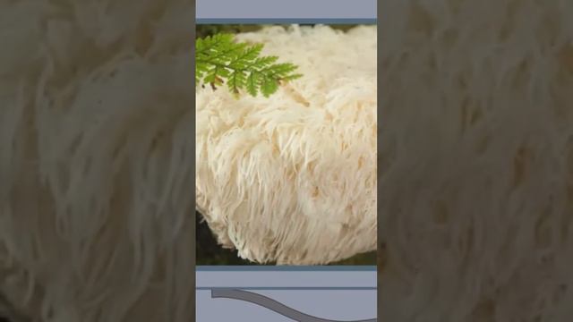 Гриб ежовик гребенчатый, о его пользе сейчас многие говорят. Я проверила, читайте в комментарии