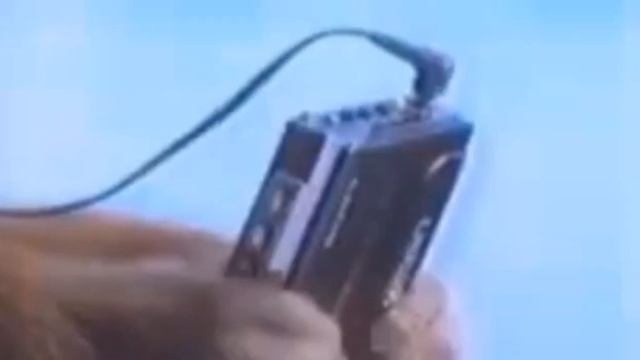 Даже эта обезьянка слушает гроб, а ты... смотреть онлайн