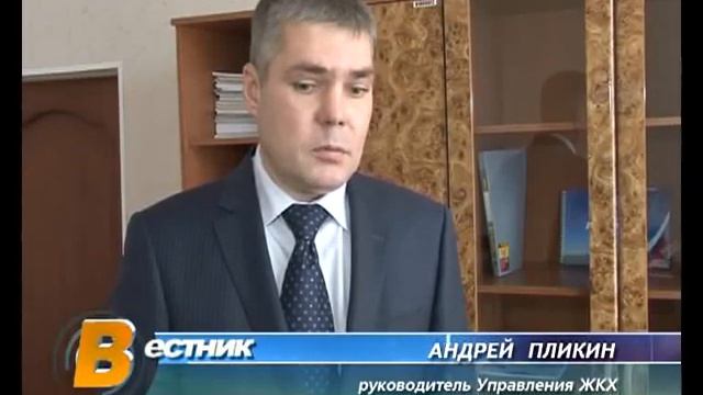 В Златоусте бездомные собаки угрожают горожанам смотреть онлайн