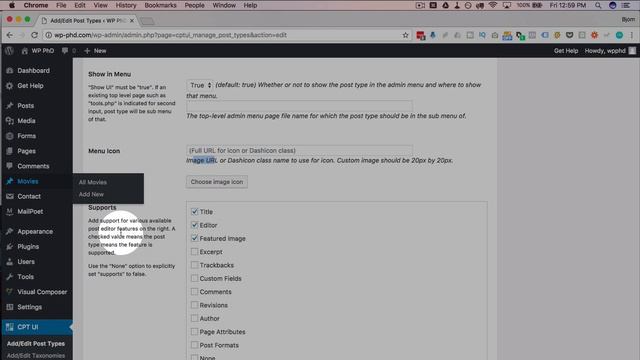 A WordPress Custom Post Type Allows You To Organize Your Content With Your Own Custom Post Types смотреть онлайн