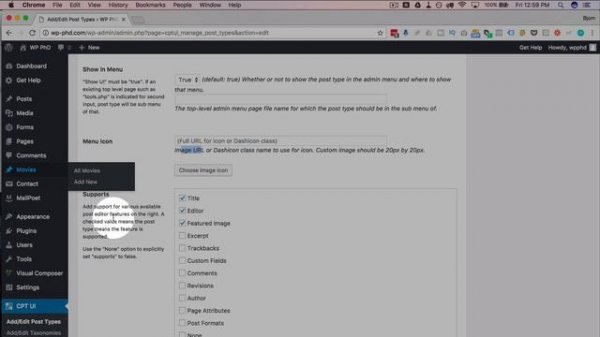 A WordPress Custom Post Type Allows You To Organize Your Content With Your Own Custom Post Types