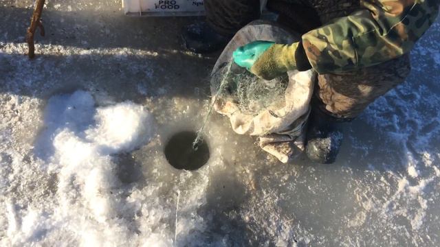 Рыбалка сетями смотреть онлайн