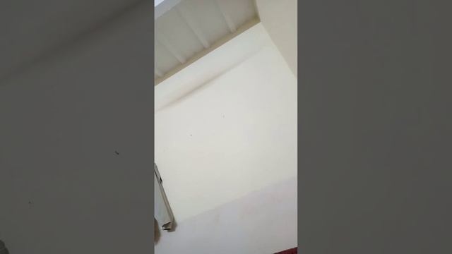 Supra Oracles Mission 25 Answer (Full Guide) | Supra Oracle Mission 25 Answer #supraoracles #supra смотреть онлайн