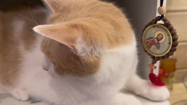 Готовим люля кебаб ! Сложнее но вкуснее! Шашлыки не готовим теперь! смотреть онлайн