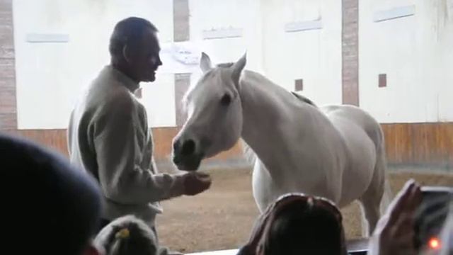 О Хрущёве и лошадях смотреть онлайн