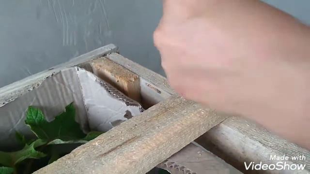 14сентября2019 Распаковка посылки от Euroflora ✌️🤗 смотреть онлайн