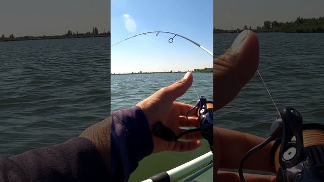 Поклёвка трофея на рыбалке!!! #Shorts смотреть онлайн