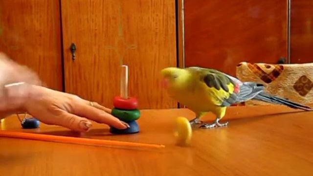 Ломать - не строить Make it or break it смотреть онлайн
