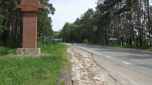 Снова страусы - видео-2 смотреть онлайн