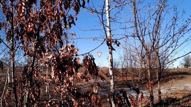 5 декабря-ПРОКОПЬЕВ ДЕНЬ.Основные правила дня.Что нельзя делать.Народные приметы смотреть онлайн