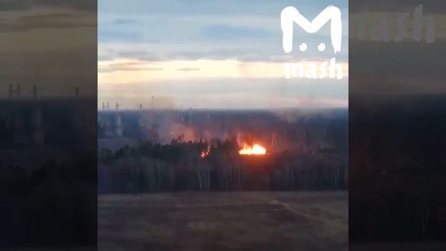 В Москве горит парк Лосиный остров смотреть онлайн