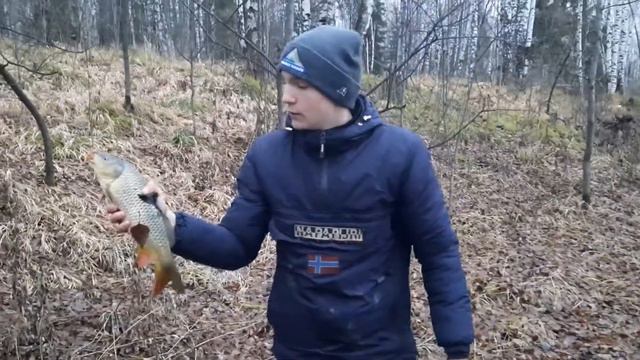 ловля сазана на Донки осенью. зарыбление пруда сазаном. смотреть онлайн