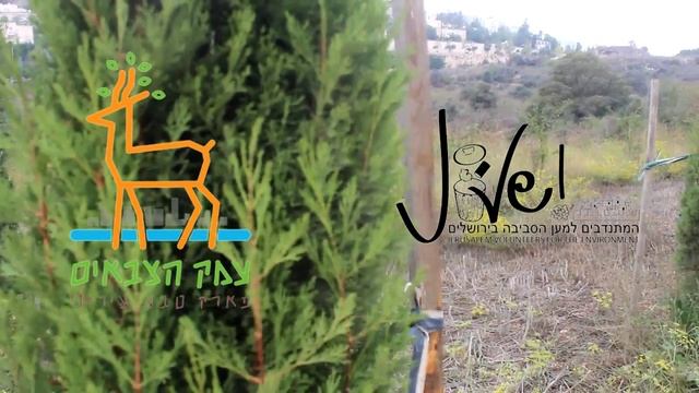 Yeshivat Lev HaTorah - Chessed Day 5776 смотреть онлайн