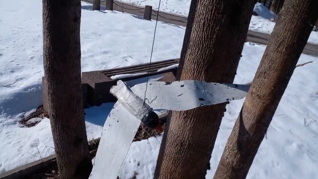 Выборг, памятник Мангуст борющийся со змеями.В каком состоянии сейчас. смотреть онлайн