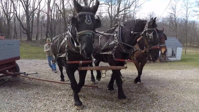 A Wagon Ride With The Horses смотреть онлайн