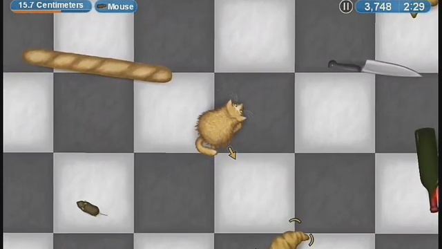Игра про котика который съел все для того чтобы очистить одно кафе/игрушка/ про котейку/ смотреть онлайн