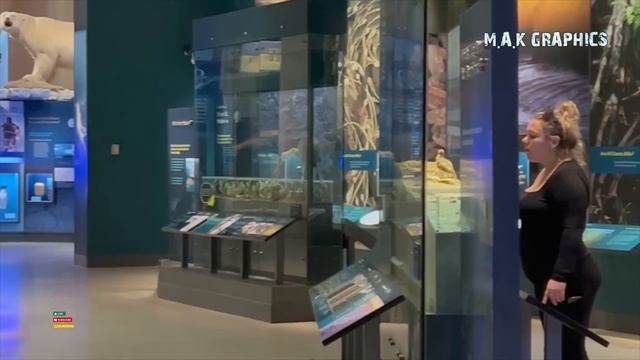 Museum of the natural histories - Washington DC - Part 01 смотреть онлайн