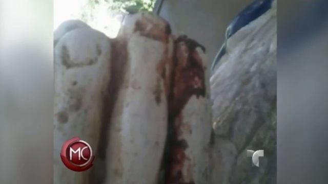 Статуя на Дева Мария заплака с кървави сълзи