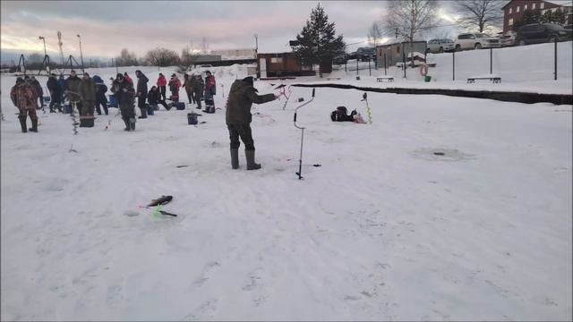 Злая форель рвала лески и ломала крючки. Клевое Место. д. Савельево смотреть онлайн