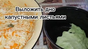 Квасим капусту с мёдом. Отличный рецепт квашеной капусты