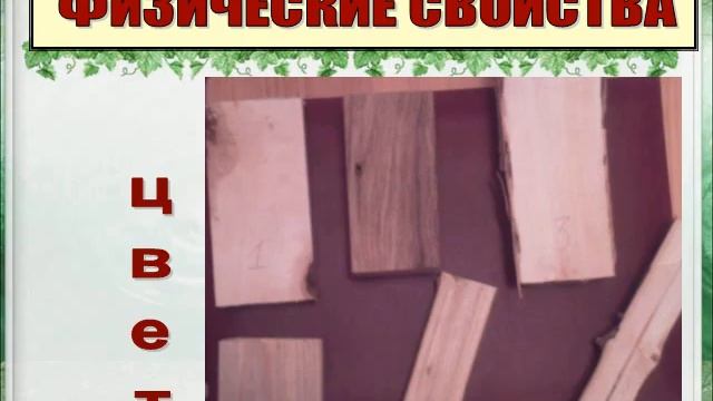 Презентация на тему Физико механические свойства древесины смотреть онлайн