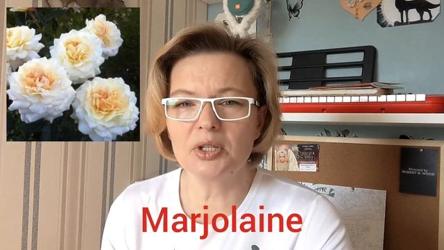 РОЗЫ МАРИИ ХАРЧЕНКО НА ВЕСНУ 2022Г. Мечта сбылась!!!?? смотреть онлайн