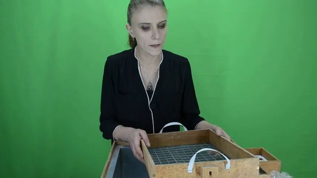 ИНКУБАТОР БЛИЦ 48 ИЛИ КАКОЙ ИНКУБАТОР ИСПОЛЬЗУЕМ МЫ . смотреть онлайн