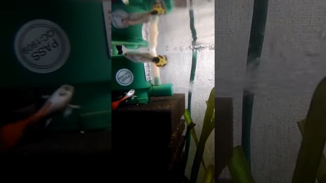 Руководство к Таланту