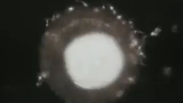 Процесс оплодотворения.wmv смотреть онлайн