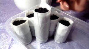 Стаканчики для рассады за 2 минуты своими руками. Рассада в пеленках.