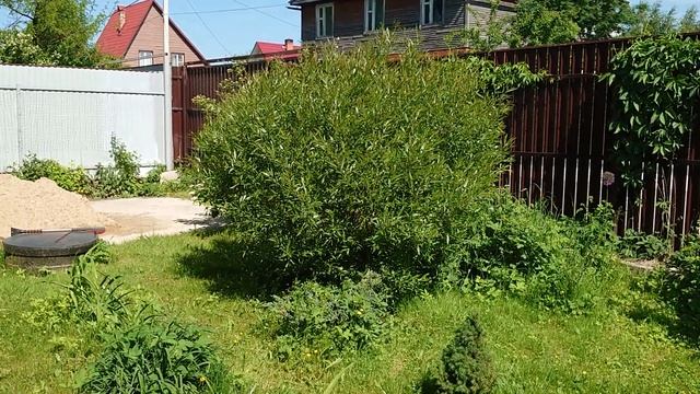 Сладкий сон Канис 9 июня 2023 смотреть онлайн