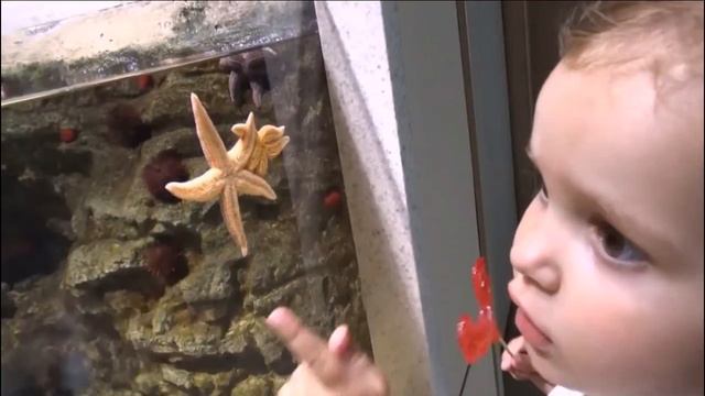 Катя в Стамбуле ОБЗОР путешествия Miss Katy в Турцию | КФ Мисс Кэти и Мистер Макс Miss Katy Mr Max смотреть онлайн