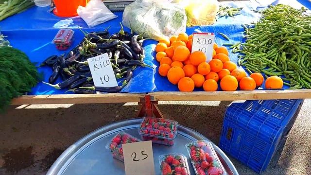 2023. На автодоме в Турции. #жизньвтурции #зимавтурции #мерсин #влог